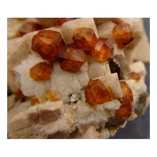 Spessartine & Smoky Quartz On Orthoclase