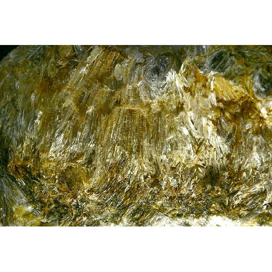 Anthophyllite