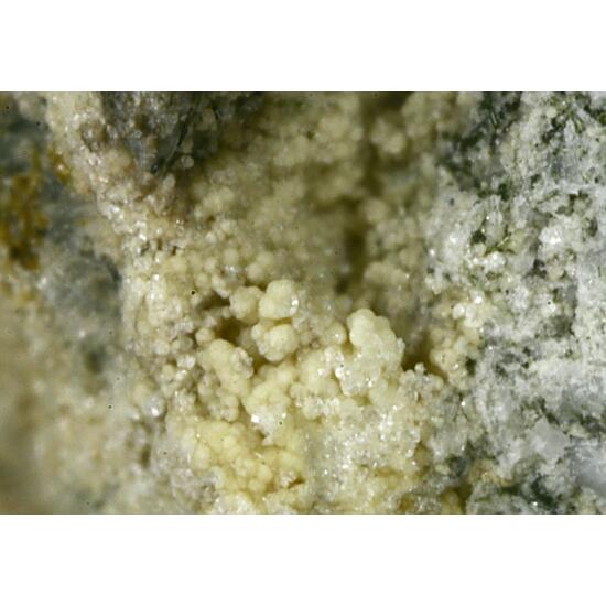 Magadiite