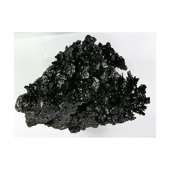 Tenorite