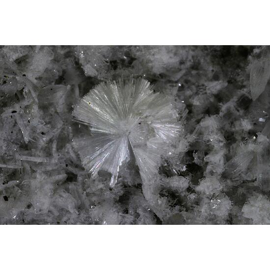 Hydrodresserite