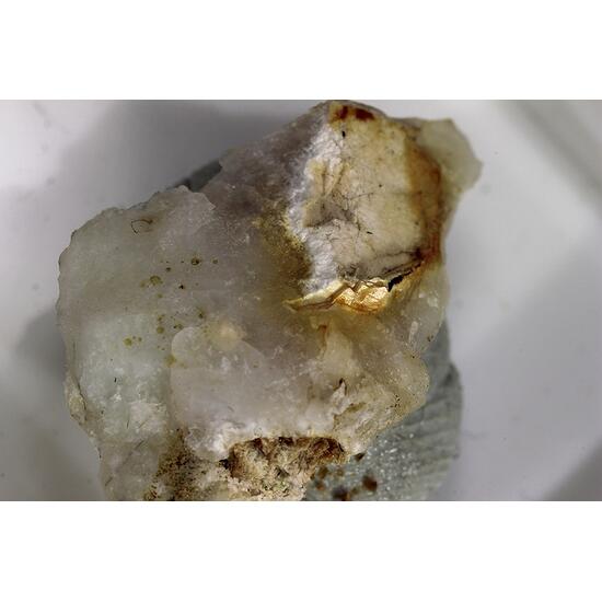 Zvyaginite