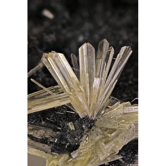 Valentinite