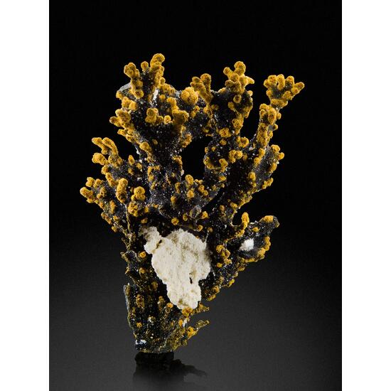 Romanèchite & Goethite