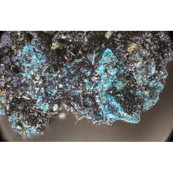 Pilipenkoite