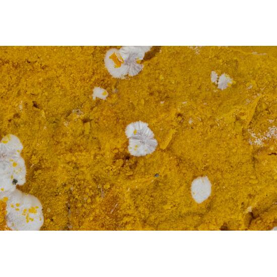 Para-alumohydrocalcite