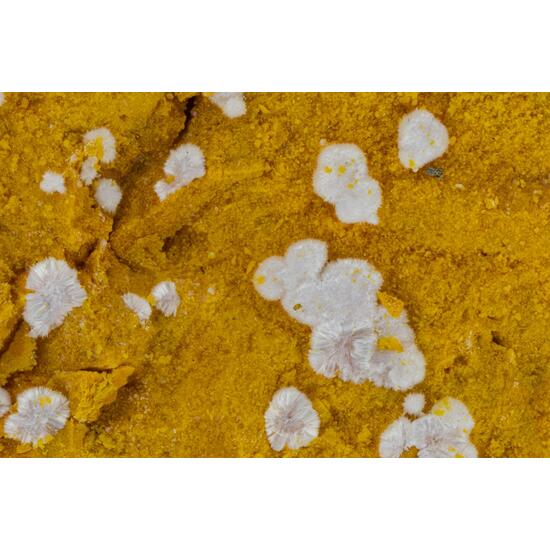 Para-alumohydrocalcite