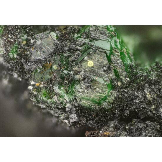 Mcbirneyite & Lammerite