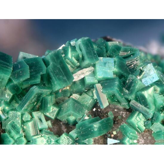 Torbernite