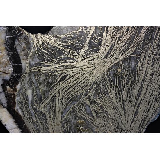 Feather Pyrite