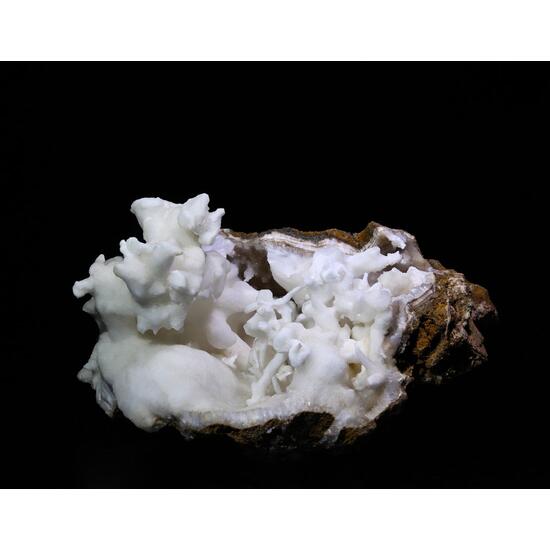 Aragonite Var Flos Ferri