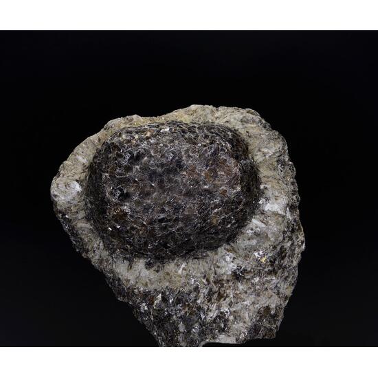 Anthophyllite & Phlogopite