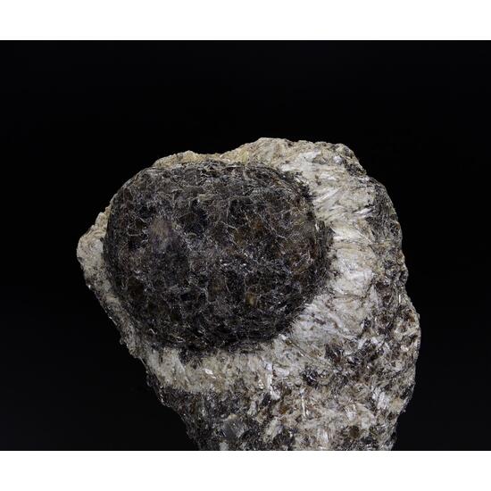 Anthophyllite & Phlogopite