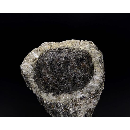 Anthophyllite & Phlogopite