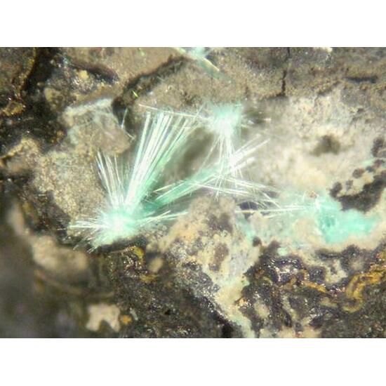 Agardite-(Nd)