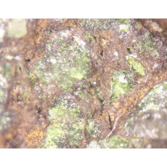 Cuprotungstite