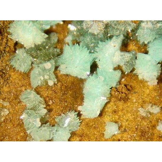 Turquoise & Wavellite