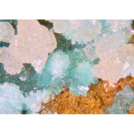 Turquoise & Wavellite