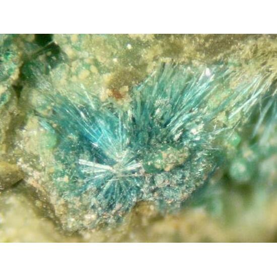 Connellite