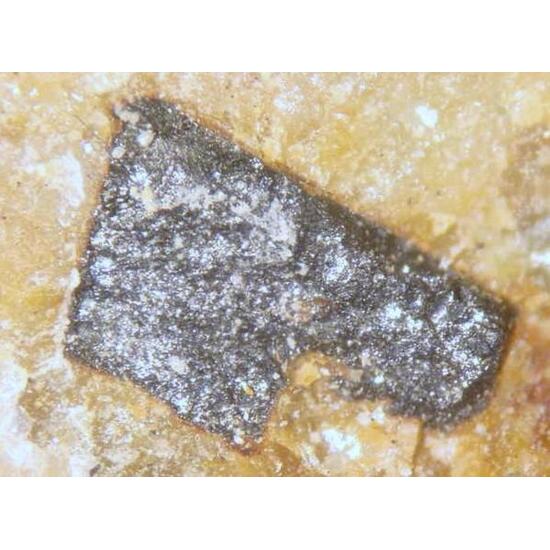 Uraninite