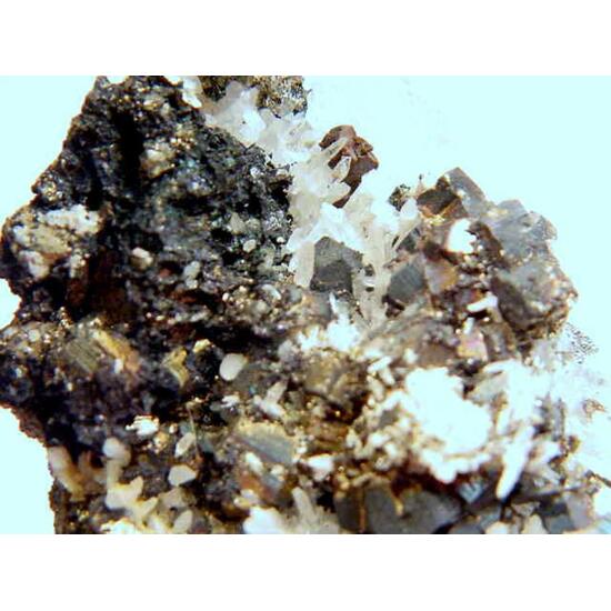 Bornite Pyrite & Quartz