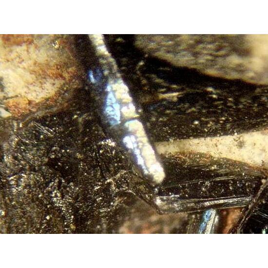 Vivianite