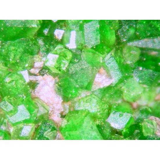 Uvarovite