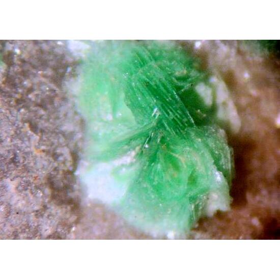 Torbernite & Wavellite