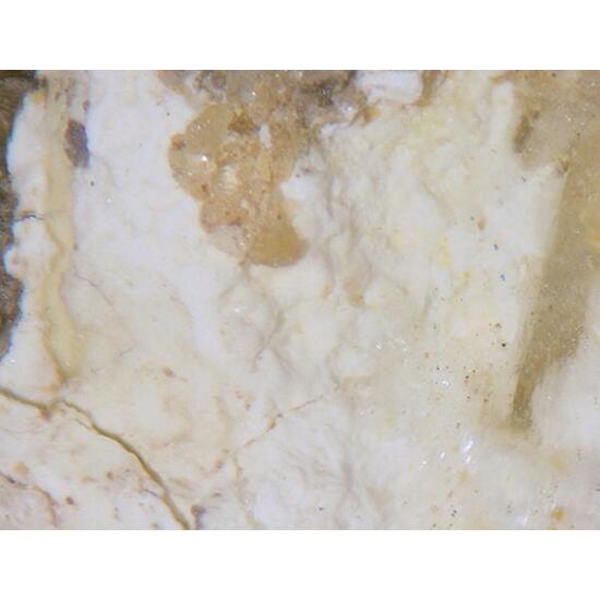 Coconinoite