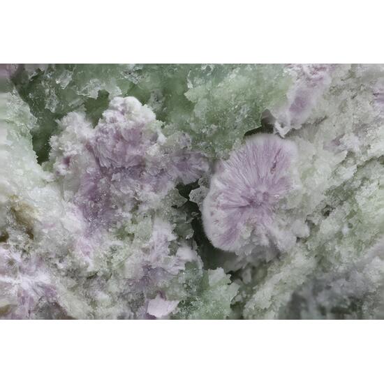 Alumohydrocalcite