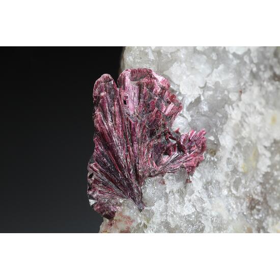 Erythrite