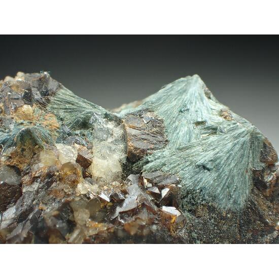 Gormanite