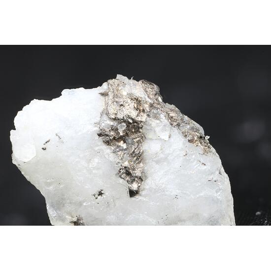 Chekhovichite Melonite Native Gold & Tellurobismuthite