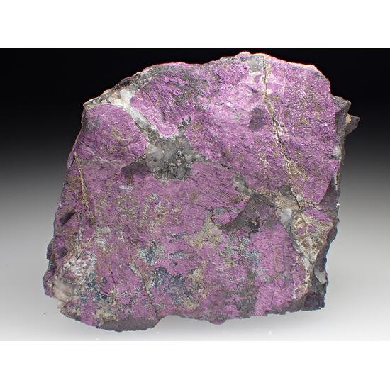 Purpurite