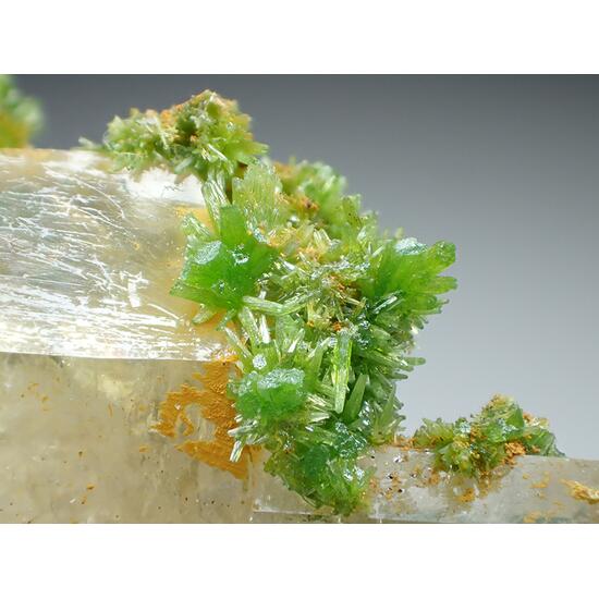 Pyromorphite & Baryte