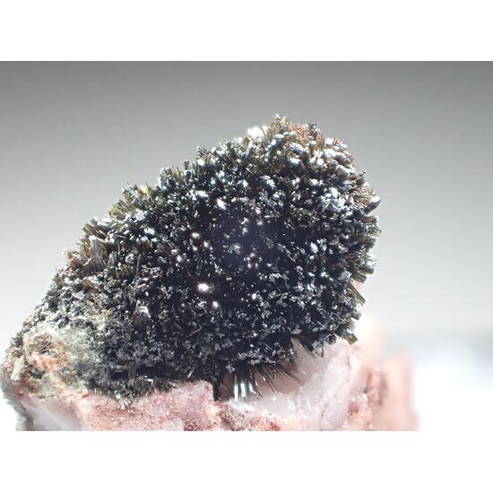 Mottramite