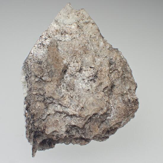 Newberyite