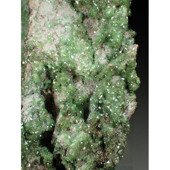 Cobaltoan Adamite