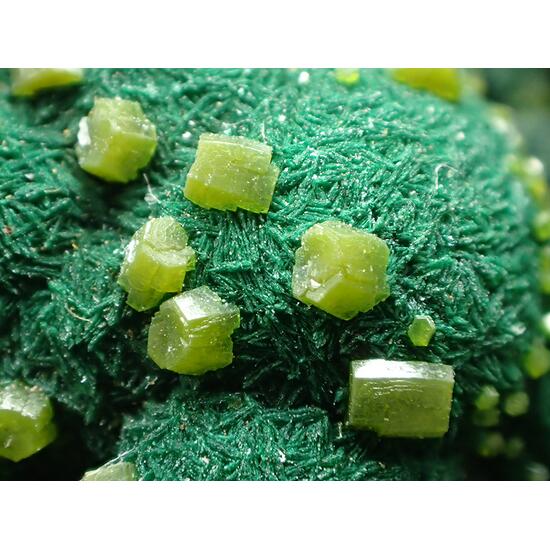 Pyromorphite & Malachite