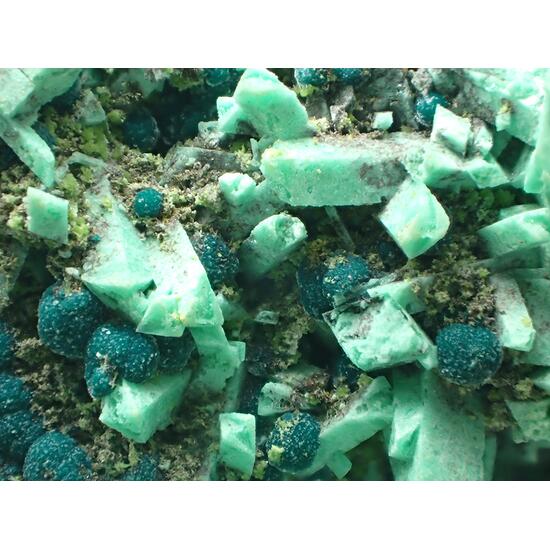 Cuprian Adamite Rosasite & Duftite