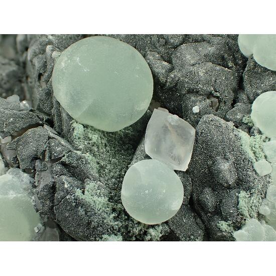 Prehnite Pumpellyite Julgoldite & Calcite