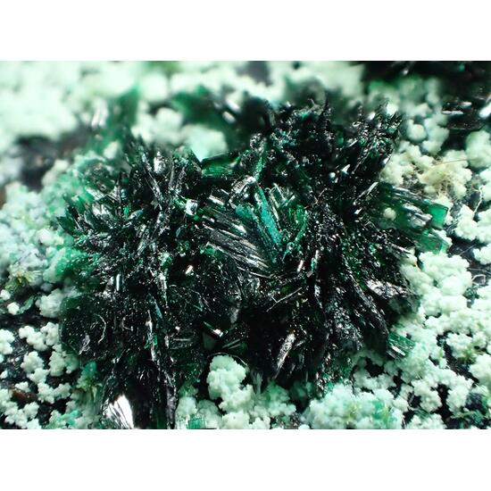 Atacamite Olivenite Halloysite & Chrysocolla