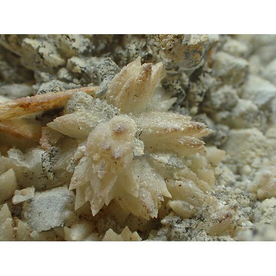 Baryte