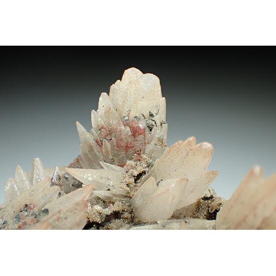 Calcite & Pyrite