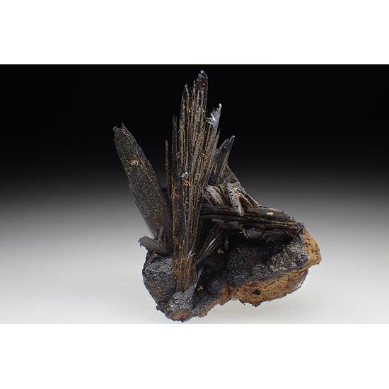 Vivianite