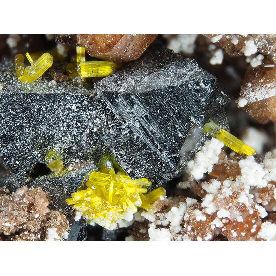 Despujolsite & Andradite & Hausmannite