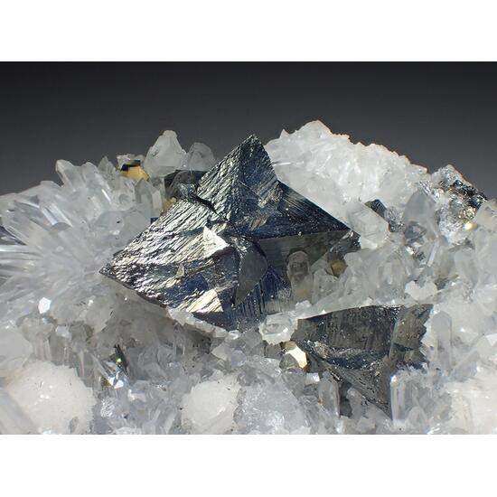 Tetrahedrite & Quartz