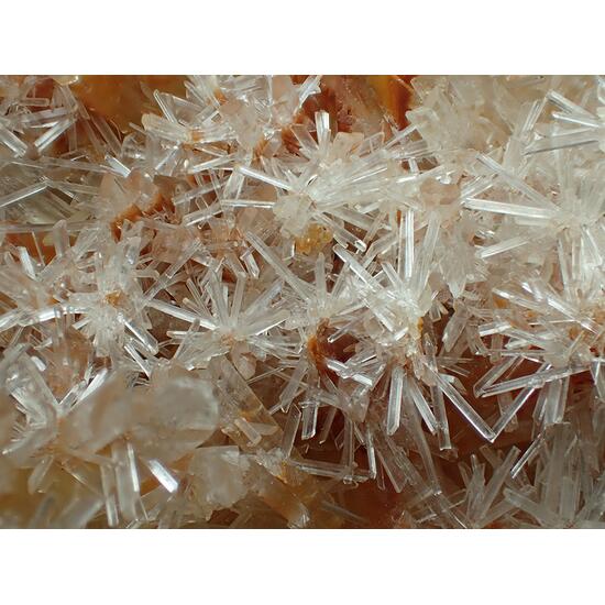 Gypsum