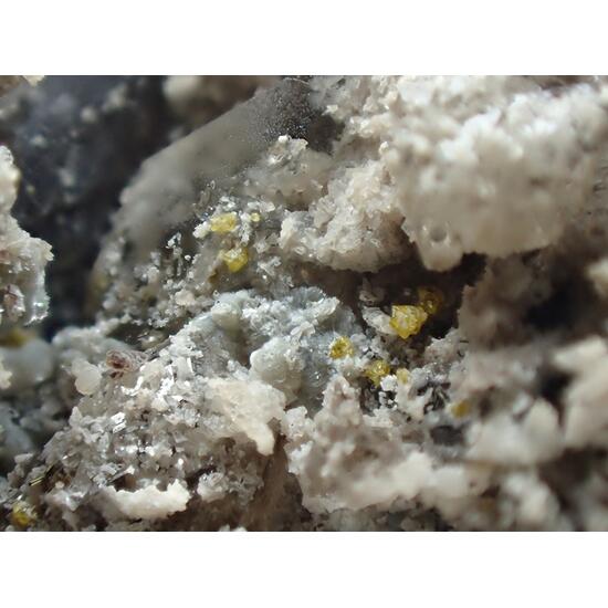 Stannomicrolite