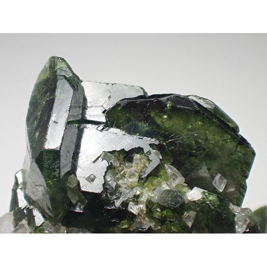 Uvite